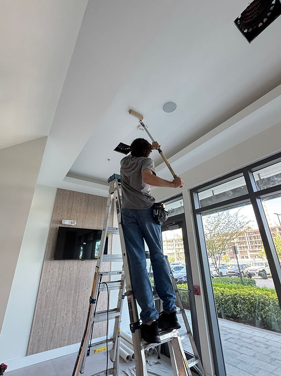 Wallpaper Installation Professionals